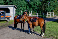 2025 - Haylee - Picco Horse Show - Thursday July 24th 00012