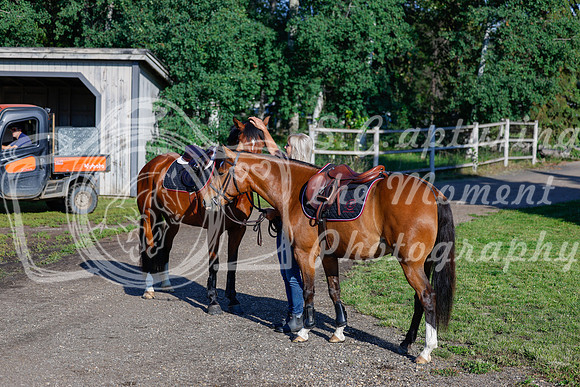 2025 - Haylee - Picco Horse Show - Thursday July 24th 00012