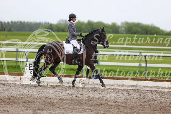 2025 - Dressage Festival - Sunday July 6th - 07083