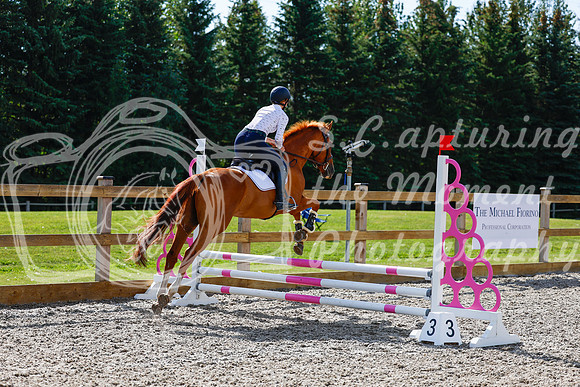 2025 - Haylee - Picco Horse Show - Thursday July 24th 00993