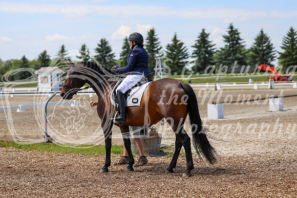 2025 - Dressage Festival - Saturday July 5th - 05986