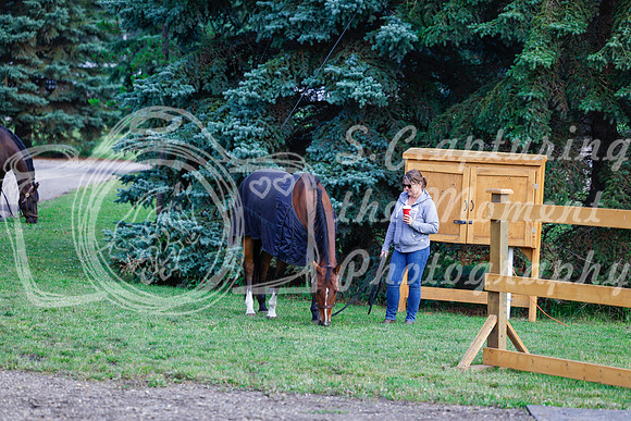 2025 - Haylee - Picco Horse Show - Saturday July 26th 00023