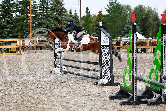 2025 - Haylee - Picco Horse Show - Saturday July 26th 01841