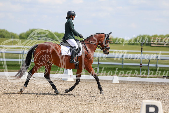 2025 - Dressage Festival - Saturday July 5th - 09430