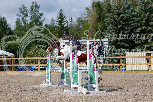 2025 - Haylee - Picco Horse Show - Sunday July 27th 02470