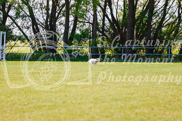 2025 - Haylee - Edmonton Classic - Friday, May 23rd - 00171