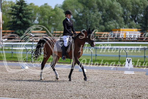 2025 - Dressage Festival - Saturday July 5th - 03095