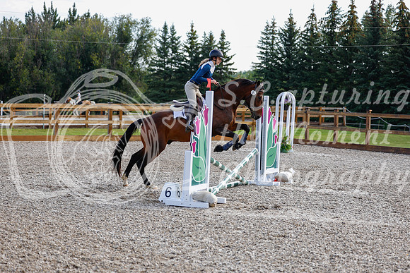 2025 - Haylee - Picco Horse Show - Saturday July 26th 00211