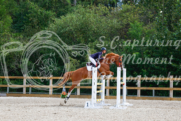 2025 - Haylee - Picco Horse Show - Sunday July 27th 05774