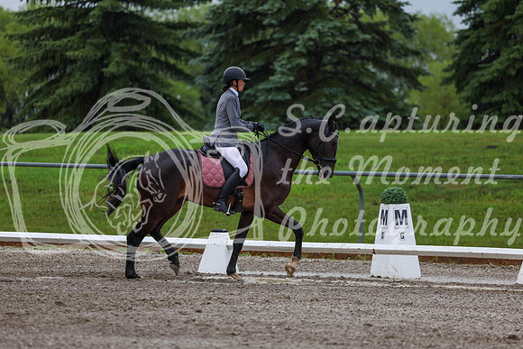 2025 - Dressage Festival - Sunday July 6th - 00636