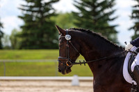 2025 - Dressage Festival - Saturday July 5th - 14743