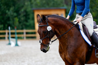 2025 - Haylee - Picco Horse Show - Saturday July 26th 02027