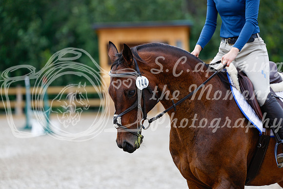 2025 - Haylee - Picco Horse Show - Saturday July 26th 02027