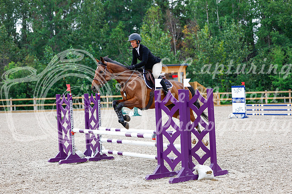 2025 - Haylee - Picco Horse Show - Saturday July 26th 04399