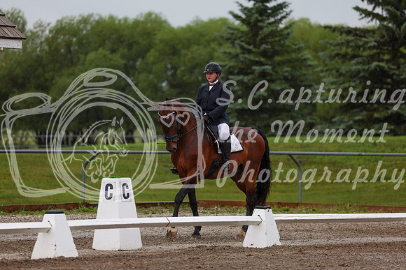 2025 - Dressage Festival - Sunday July 6th - 00340