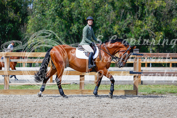 2025 - Haylee - Picco Horse Show - Saturday July 26th 07739