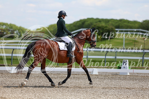 2025 - Dressage Festival - Saturday July 5th - 09432