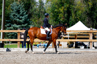 2025 - Haylee - Picco Horse Show - Sunday July 27th 05536