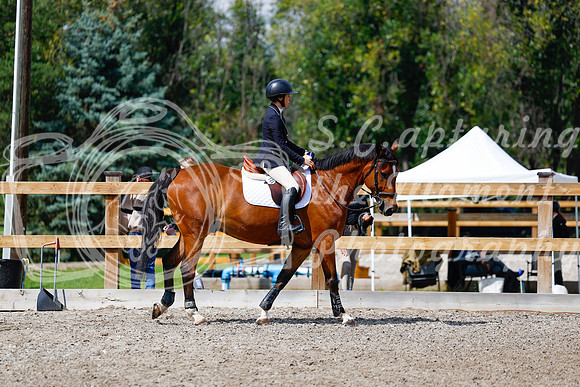 2025 - Haylee - Picco Horse Show - Sunday July 27th 05536