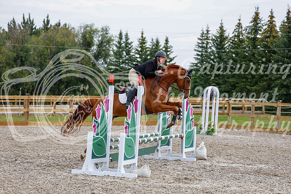 2025 - Haylee - Picco Horse Show - Saturday July 26th 02651