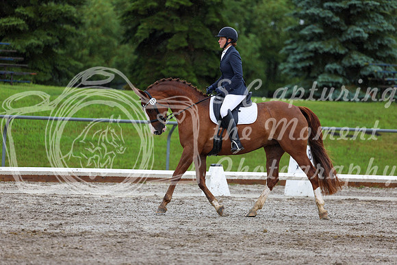 2025 - Dressage Festival - Sunday July 6th - 05308