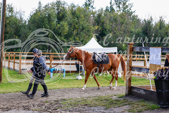 2025 - Haylee - Picco Horse Show - Saturday July 26th 00033
