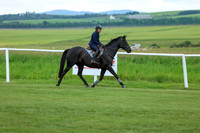 2025 - Shea - Teesdale - Saturday July 26th - 04393