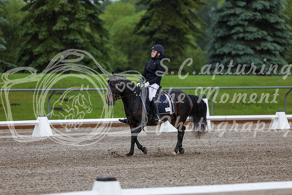 2025 - Dressage Festival - Sunday July 6th - 00004
