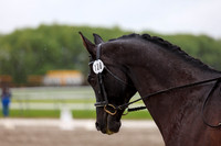 2025 - Dressage Festival - Sunday July 6th - 08021