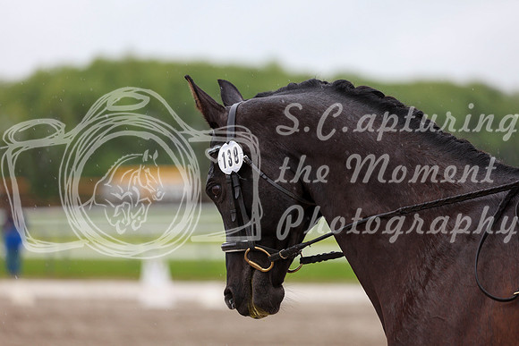 2025 - Dressage Festival - Sunday July 6th - 08021