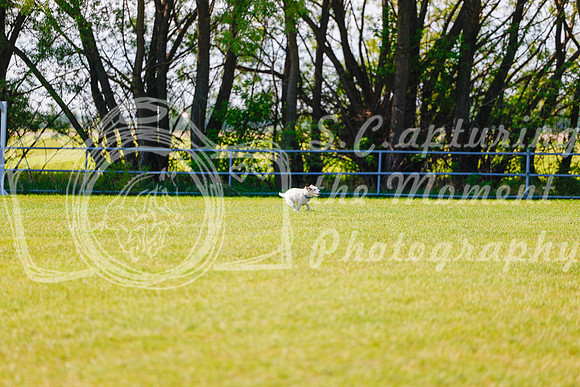 2025 - Haylee - Edmonton Classic - Friday, May 23rd - 00172