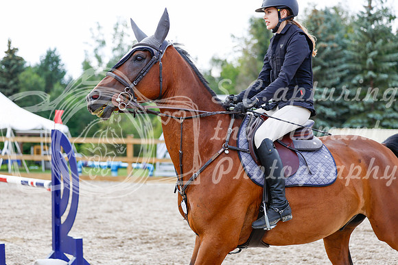 2025 - Haylee - Picco Horse Show - Saturday July 26th 06832
