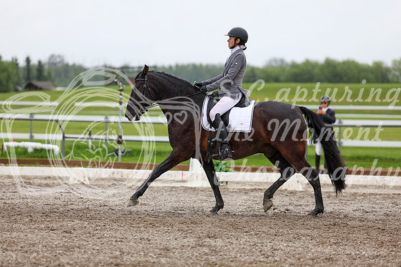 2025 - Dressage Festival - Sunday July 6th - 07014