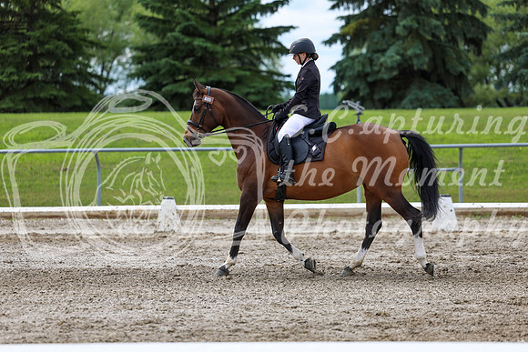 2025 - Dressage Festival - Sunday July 6th - 14421