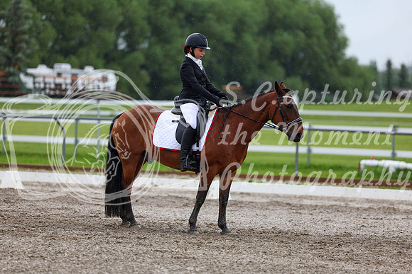 2025 - Dressage Festival - Sunday July 6th - 05571