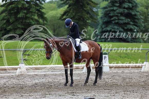 2025 - Dressage Festival - Sunday July 6th - 13179
