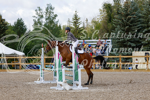 2025 - Haylee - Picco Horse Show - Sunday July 27th 02574
