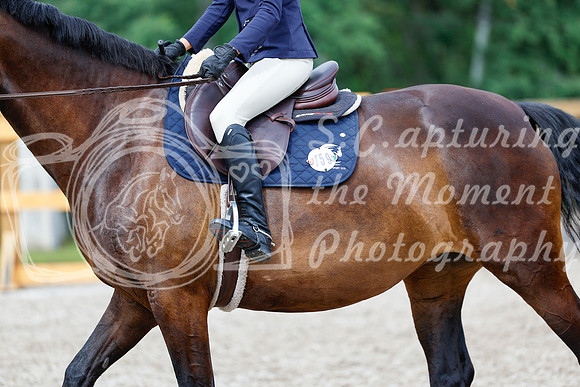 2025 - Haylee - Picco Horse Show - Friay July 25th 01882