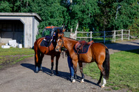 2025 - Haylee - Picco Horse Show - Thursday July 24th 00010