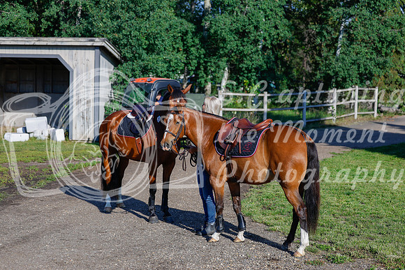 2025 - Haylee - Picco Horse Show - Thursday July 24th 00010