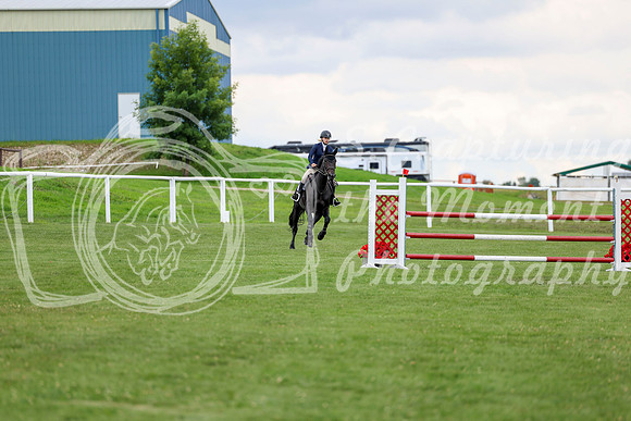 2025 - Shea - Teesdale - Friday July 25th - 07752