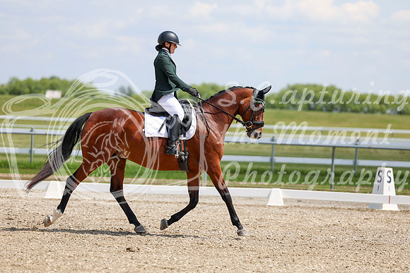 2025 - Dressage Festival - Saturday July 5th - 09427