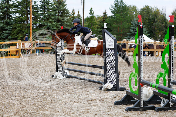 2025 - Haylee - Picco Horse Show - Saturday July 26th 01840