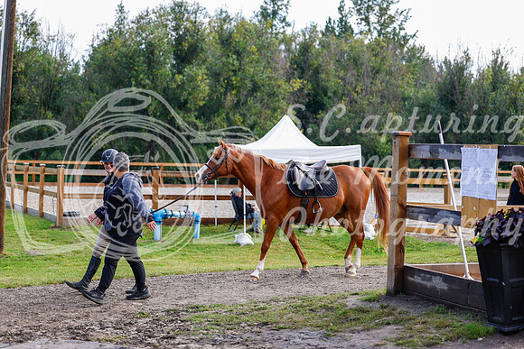 2025 - Haylee - Picco Horse Show - Saturday July 26th 00032