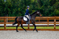 2025 - Haylee - Picco Horse Show - Sunday July 27th 00121