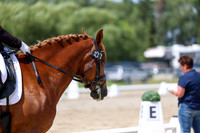 2025 - Dressage Festival - Saturday July 5th - 09315