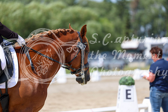 2025 - Dressage Festival - Saturday July 5th - 09315