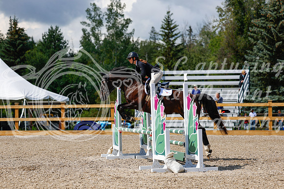2025 - Haylee - Picco Horse Show - Sunday July 27th 03080