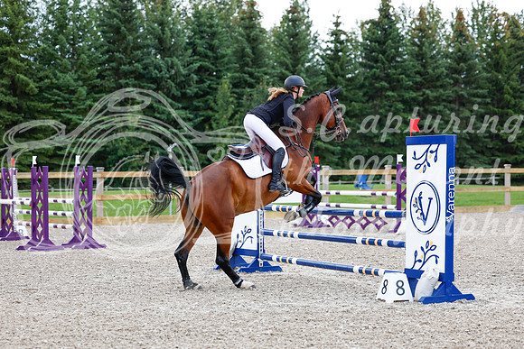 2025 - Haylee - Picco Horse Show - Sunday July 27th 04567