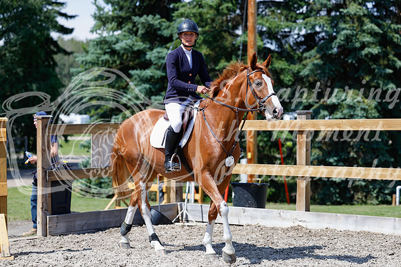 2025 - Haylee - Picco Horse Show - Thursday July 24th 03895